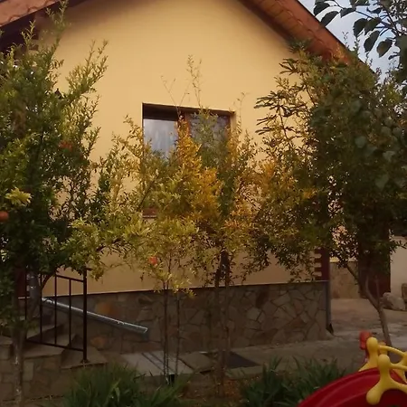 Guest house Captain's Orizare